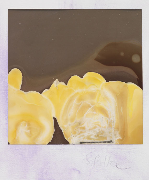 Sigmar Polke - Fotografie