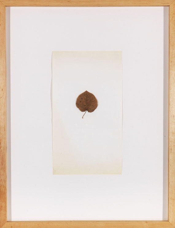 Joseph Beuys - Collage