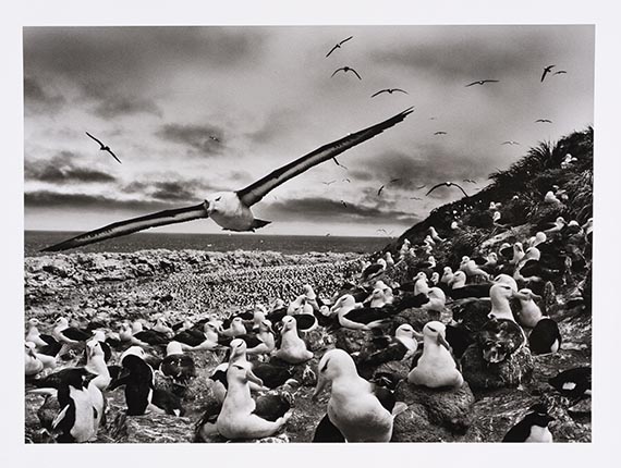Sebastião Salgado - Gelatinesilberabzug