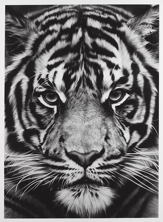 Longo, Robert - Tiger